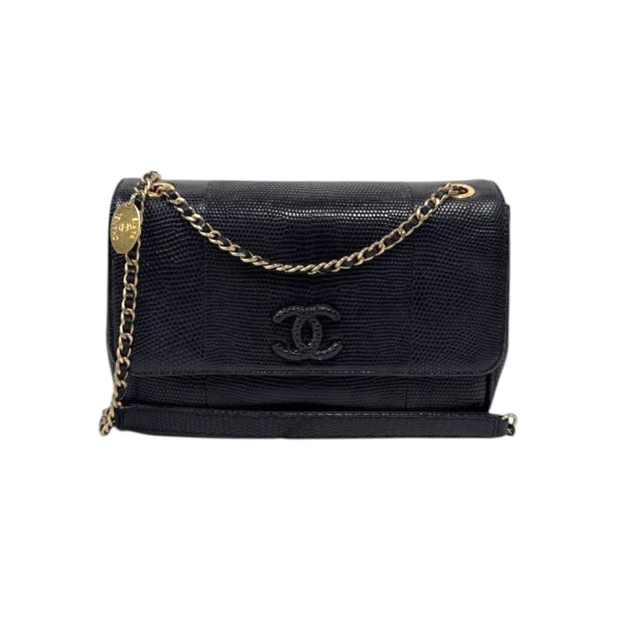 Chanel Lizard CC Flap Bag · 22cm · c.2015–2016